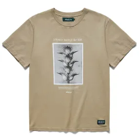 ACANTHUS T-SHIRT